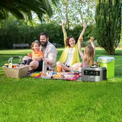 Sushi platter on a picnic table